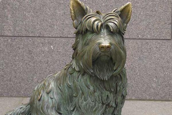 Dog Memorial