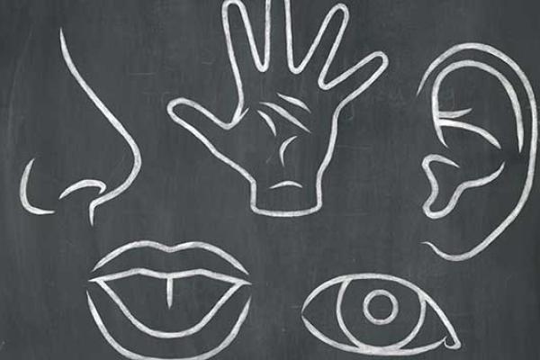 Celebration Of The Senses Day