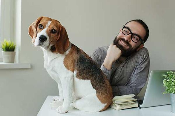 Take your Dog to Work Day