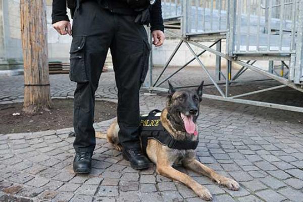 K-9 police