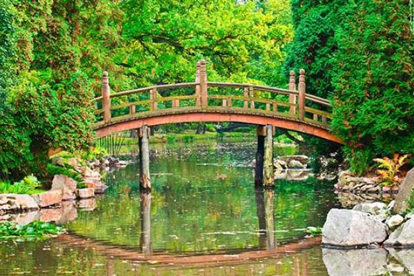 Garden Meditation Day