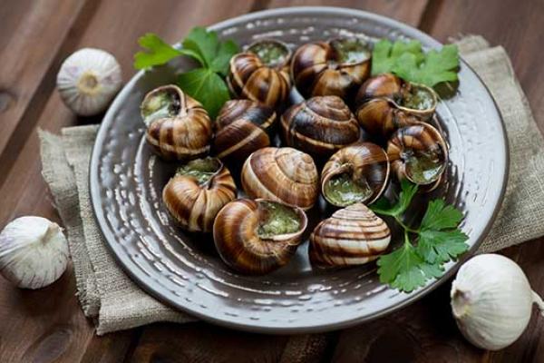 Escargot