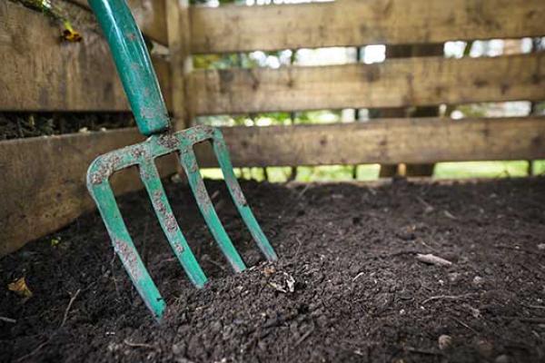 Learn About Composting Day