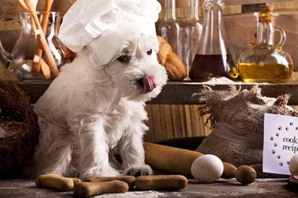 National Cook For Your Pets Day