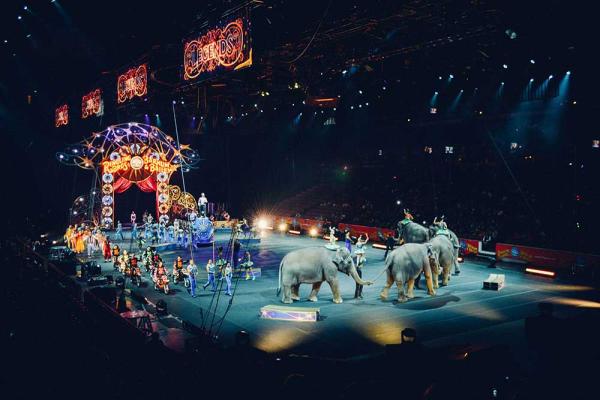 World Circus Day