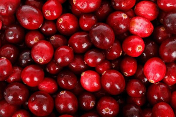 Cranberry Day