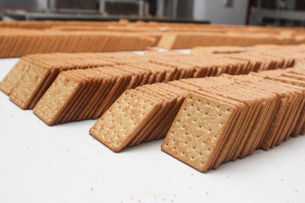 Graham Cracker Day