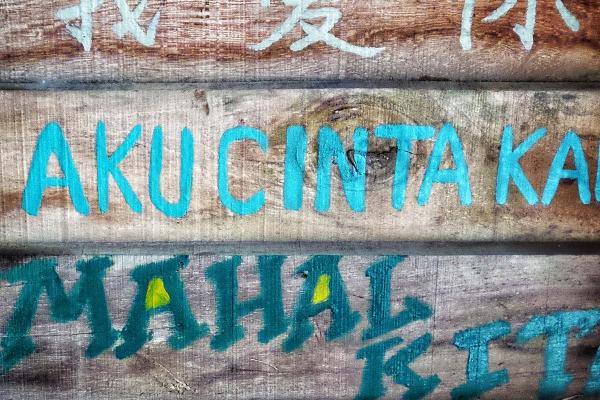 International Mother Language Day