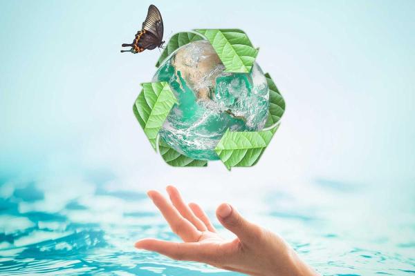 World Environment Day