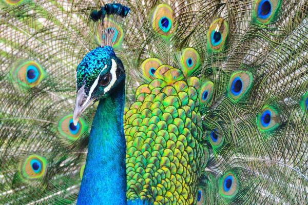 Making Life Beautiful Day