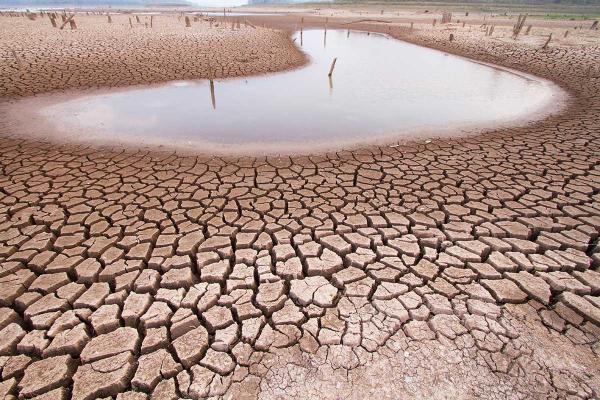 World Day to Combat Desertification and Drought