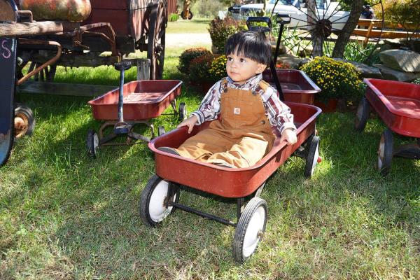 Little Red Wagon Day