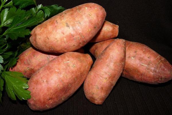 Cook a Sweet Potato Day