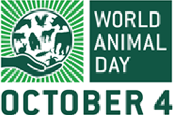 World Animal Day