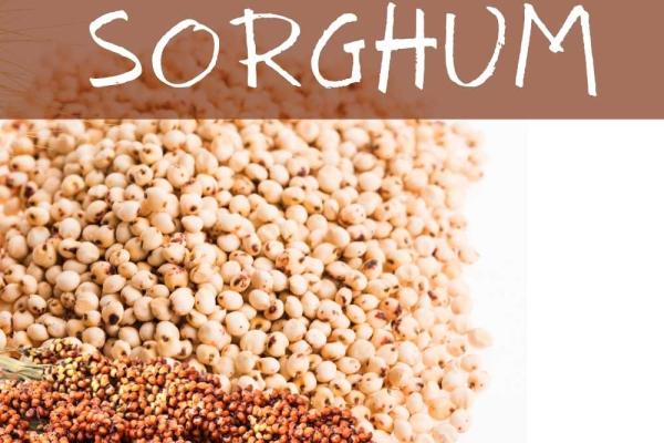 Sorghum Month