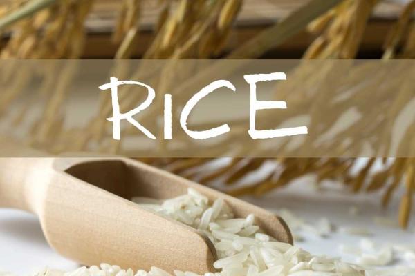 September is Rice Month