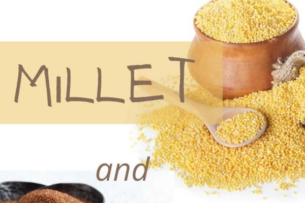 November is Millet & Teff Month