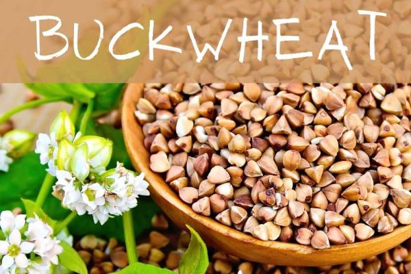 December is Buckwheat Month