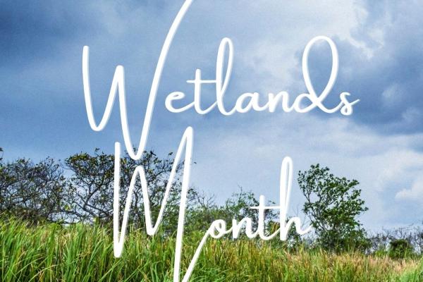 Wetlands Month