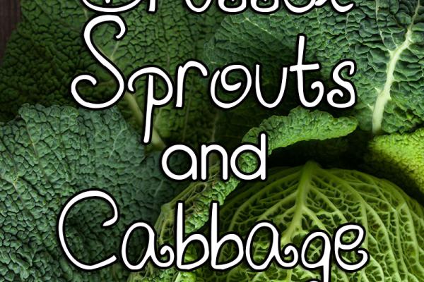 April is Brussel Sprouts and Cabbage Month