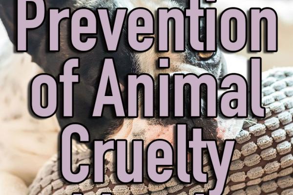 April is Prevention of Animal Cruelty Month