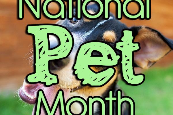 April is National Pet Month