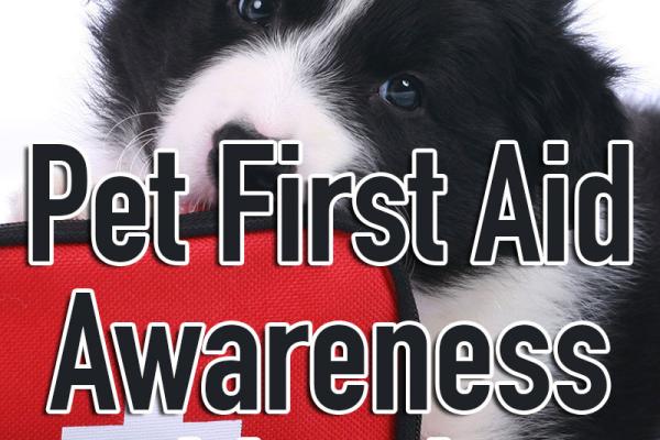 April is Pet First Aid Awareness Month