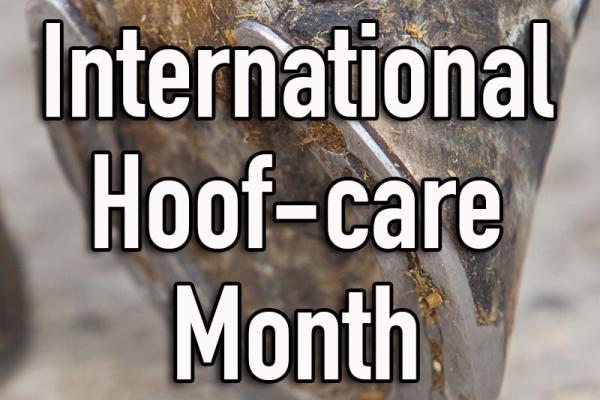 February is International Hoof-care Month