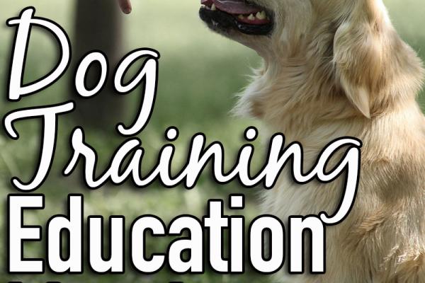February is Dog Training Education Month