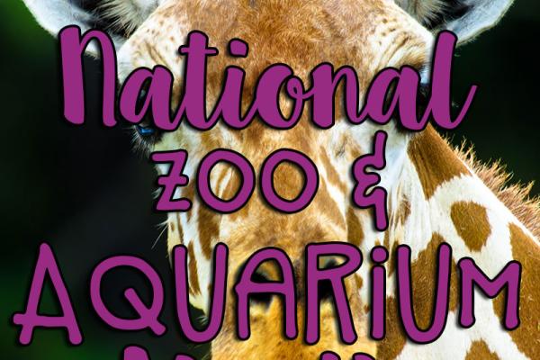 June is National Zoo & Aquarium Month