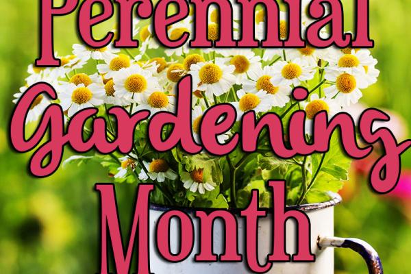 June is Perennial Gardening Month