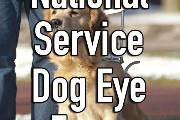 May is National Service Dog Eye Exam Month