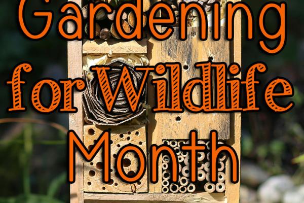 May is Gardening for Wildlife Month