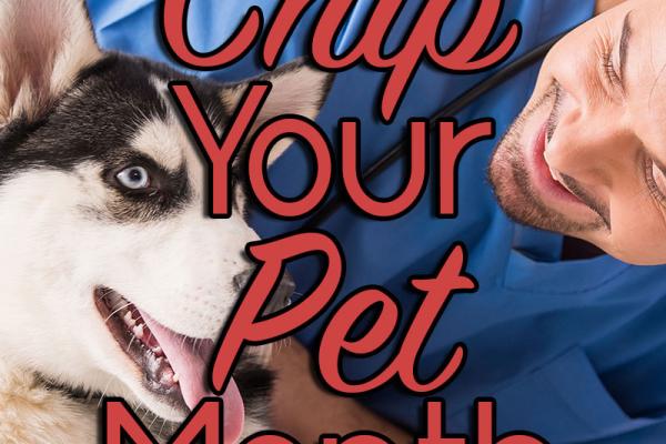 May is Chip Your Pet Month