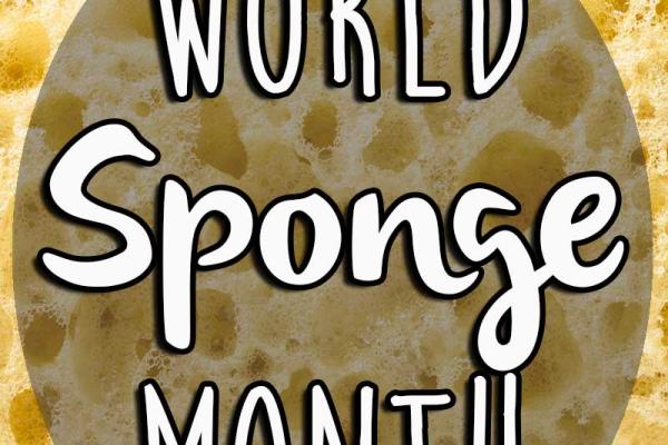 November is World Sponge Month