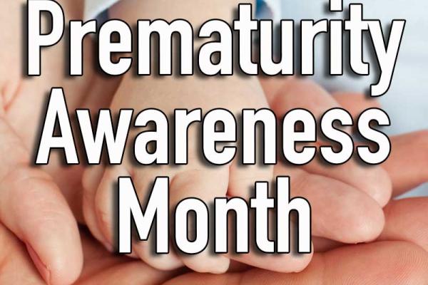 November is Pet Diabetes Month