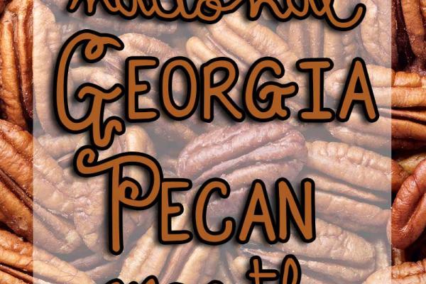 November is National Georgia Pecan Month