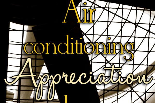 July is Air Conditioning Appreciation Days!