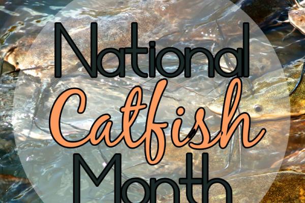 August is National Catfish Month!
