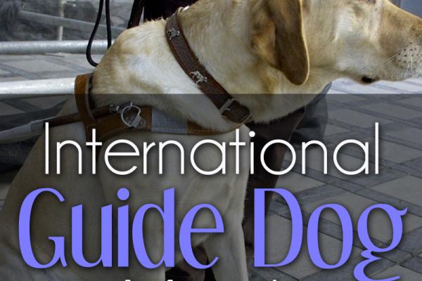 September is National Guide Dogs Month!