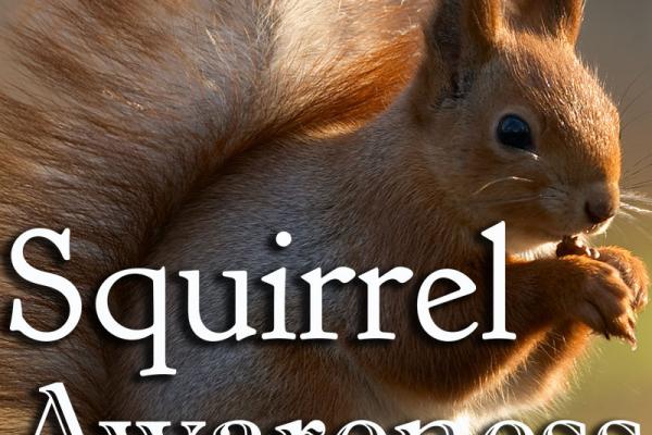 October is Squirrel Awareness Month