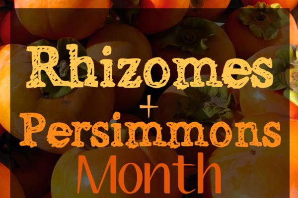 October is Rhizomes and Persimmons Month
