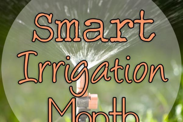July is Smart Irrigation Month!