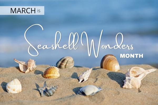 March is Seashell Wonders Beach Month