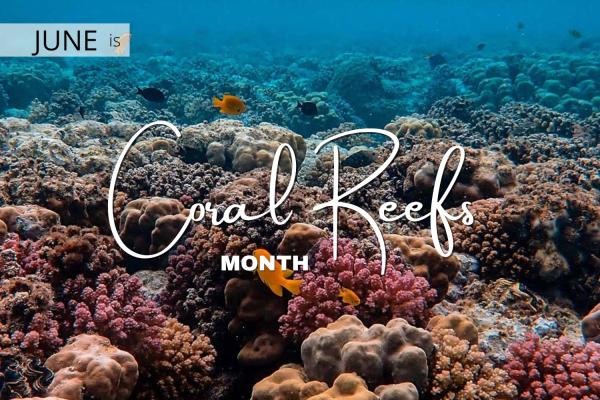 June is Coral Reefs Month