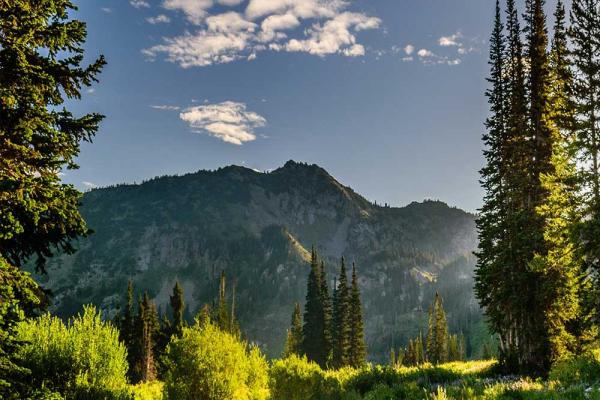 Earth & Environment Month