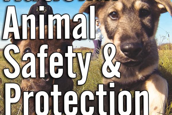 October is National Animal Safety and Protection Month