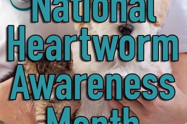 April is National Heartworm Awareness Month