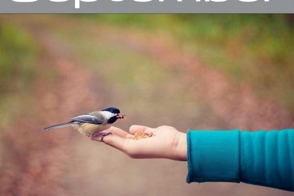 Practice Kindness Month