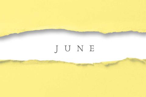 A Peak at Popular June Daily Fun Holidays